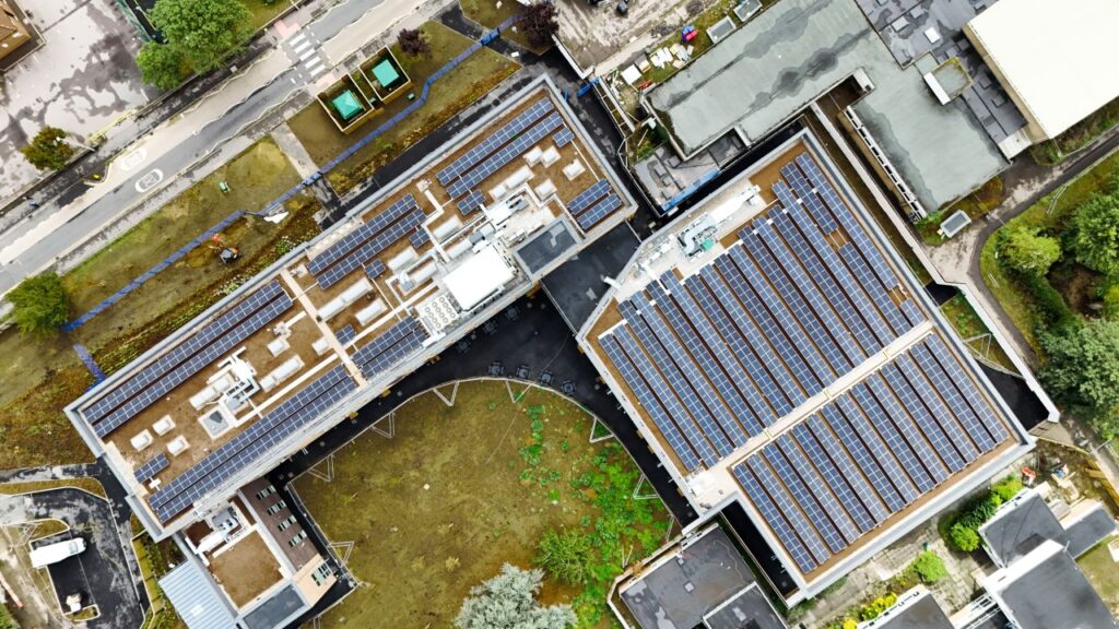 BAM Orchards Academy