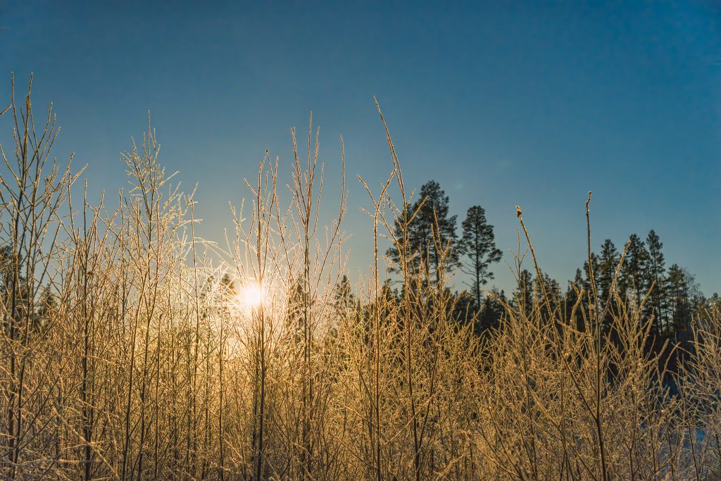 At Westcoast Windows, sustainability is an essential part of how we design, manufacture and deliver every window.