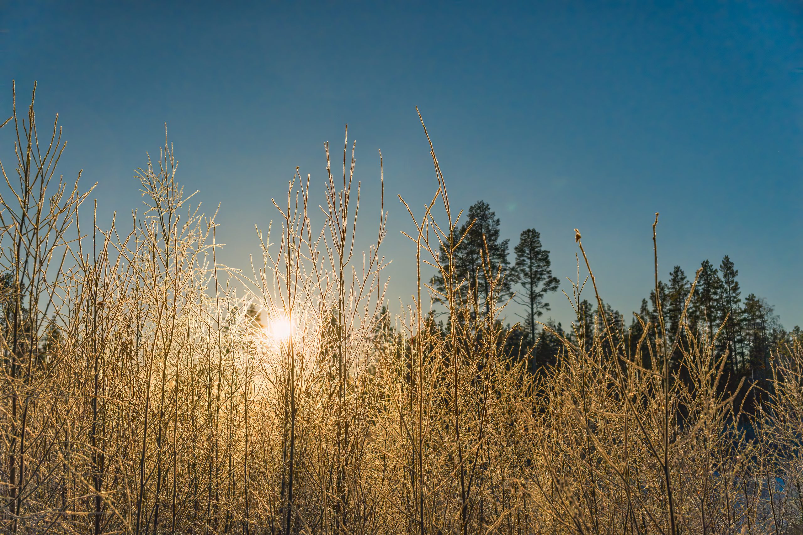 At Westcoast Windows, sustainability is an essential part of how we design, manufacture and deliver every window.